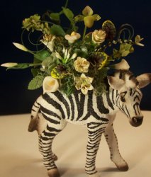 Zebra Foal with floral